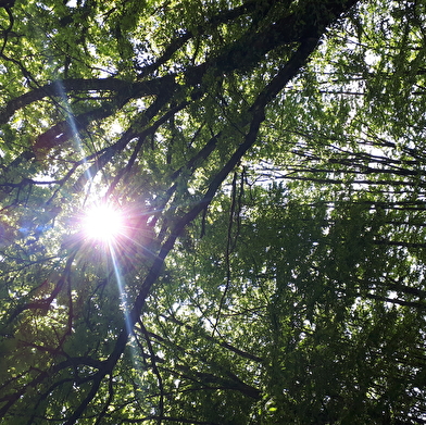 La Ferme des Maziers