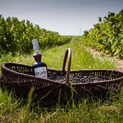 Lejay Lagoute, créateur de la crème de cassis