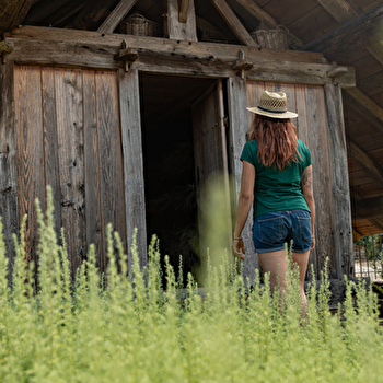 La Route des Chalots - FOUGEROLLES-SAINT-VALBERT