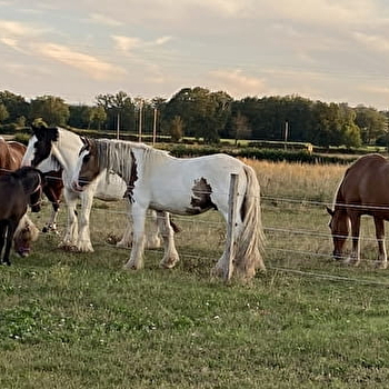 La Chevauchée des Petits Sabots - ARTAIX