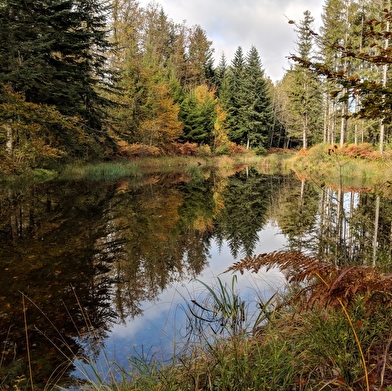 Itinérance aux 1000 étangs