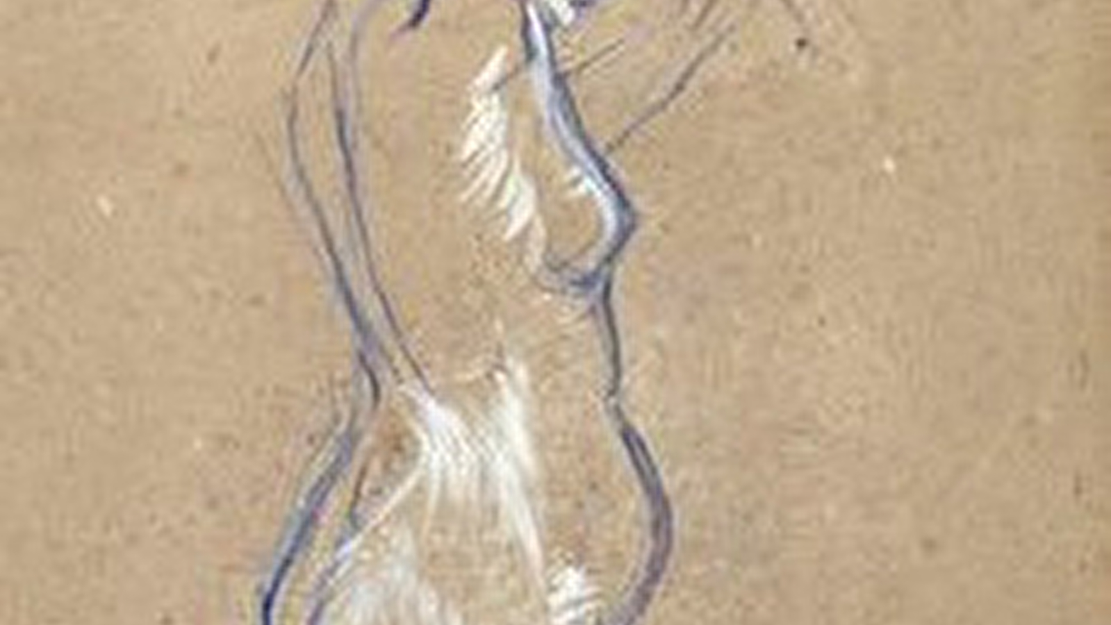 Stage Dessin de modèle vivant - poses longues