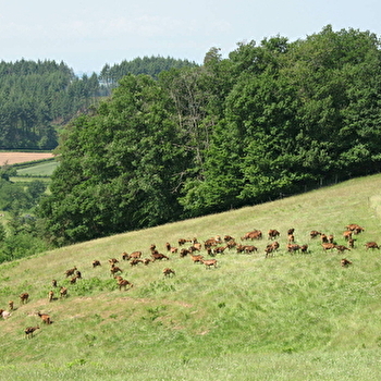 Circuit des Etangs - GIBLES