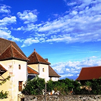 Les Godains - Gîte - CHIDDES