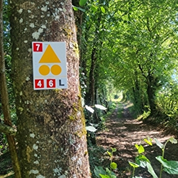 Circuit VTTAE n°6 (rouge) Chemins des bois de Bresse - BRESSE VALLONS