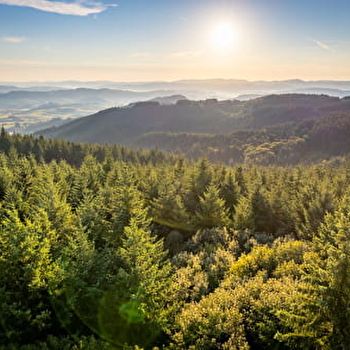 Circuit des digitales - MONTMELARD