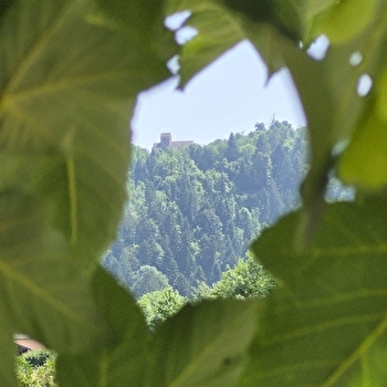 Aire de services pour camping-cars - FAUCOGNEY-ET-LA-MER