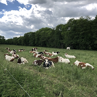 Randonnée : Du Fleutron à la Rippe