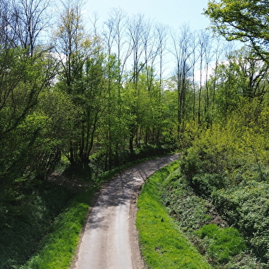 Sentier des étangs