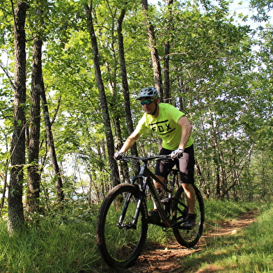 Parcours VTT 54 bleu - Aranc et les Hauts d'Evosges - Espace FFC Ain Forestière