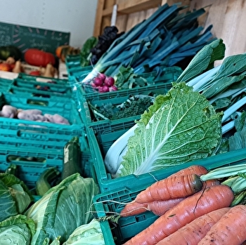 Les Jardins du Salignon - FALLERANS