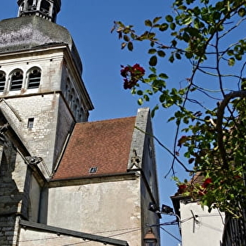 Basilique Notre-Dame - GRAY