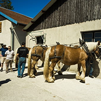 Auberge Le Sillet - LONGCOCHON