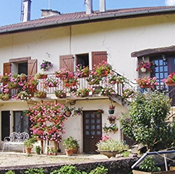 Mme Dappelo - RAVILLOLES