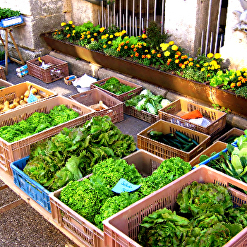 Les jardins de Vauvenise - BONNEVENT-VELLOREILLE