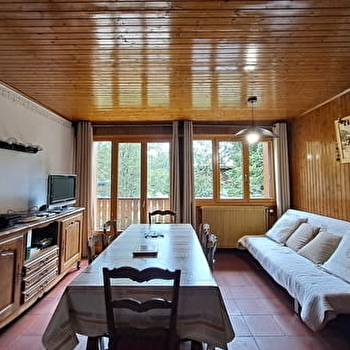 Appartement - chalet l'Igloo - P611GAME0  - PREMANON