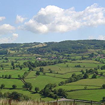 Circuit de la Bussière - SAINT-LEGER-SOUS-LA-BUSSIERE