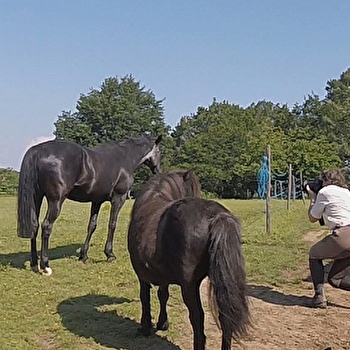 Atelier Photographie équine - LA NOCLE-MAULAIX