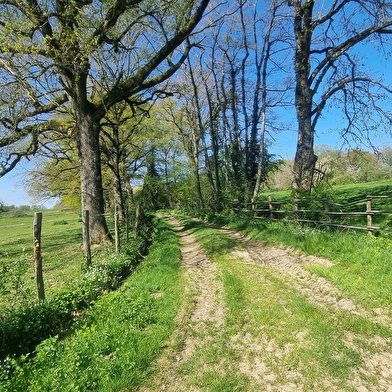 Liaison VTT-VTC (L4) St Trivier de Courtes - Ferme de la Forêt