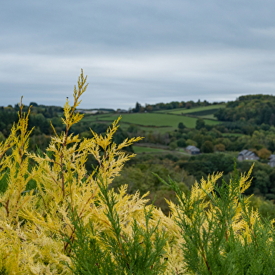 La Boucle des Gaudrys
