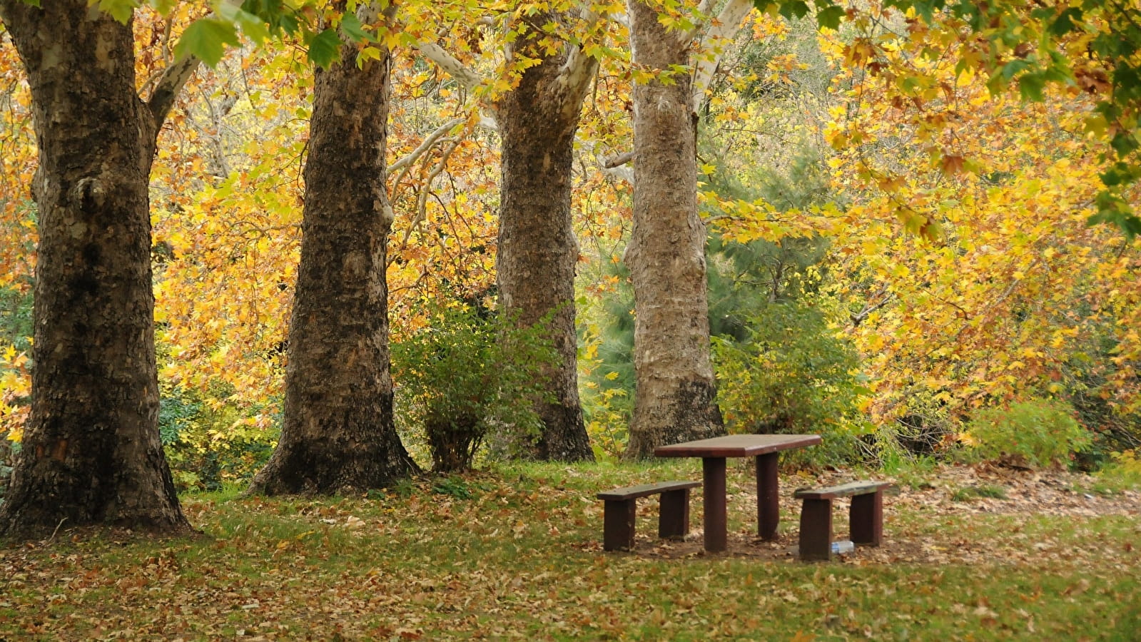 Aire de pique-nique du Saut Chevalier à Ornans