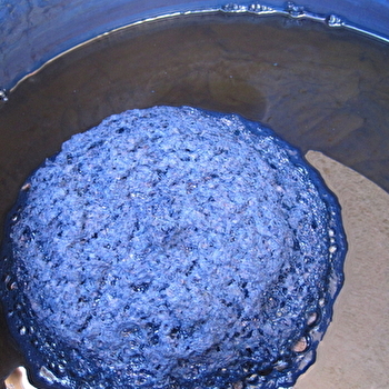 Stage de Teinture Naturelle : Le bleu Indigo - PRESSY-SOUS-DONDIN