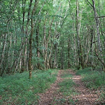 Circuit de Montot - RECEY-SUR-OURCE