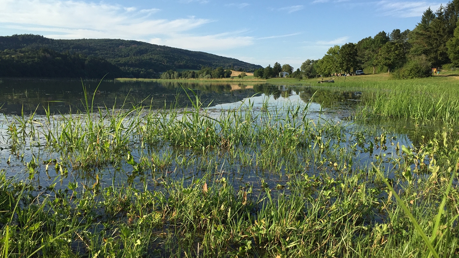 Parcours VTT 71 bleu - Vallée de l'Oignin la Belloire - Espace FFC Ain Forestière