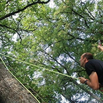 Maison du Parc national & Maison de la Forêt - LEUGLAY