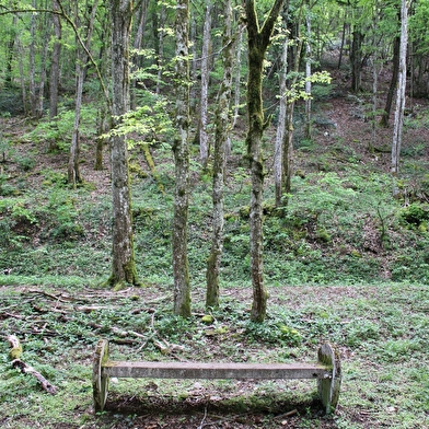 Aire de pique-nique de Chambolle-Musigny 1