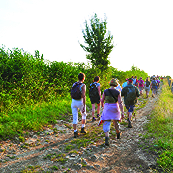 Le panoramique de la Vallée de la Saône - RECOLOGNE-LES-RIOZ