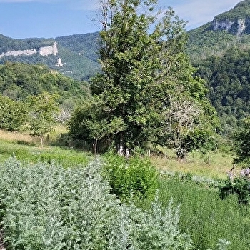 Distillerie Le Loutron Libre - MOUTHIER-HAUTE-PIERRE