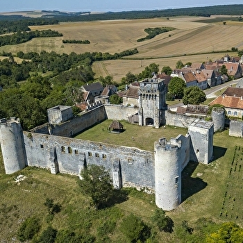 Château-Fort des Comtes d'Auxerre et de Nevers - DRUYES-LES-BELLES-FONTAINES