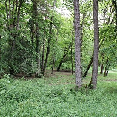 Aire de pique-nique de Fixin 1