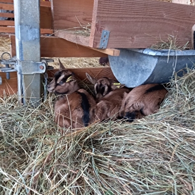 Les Coulisses du Terroir - Les Fermes des Bajais