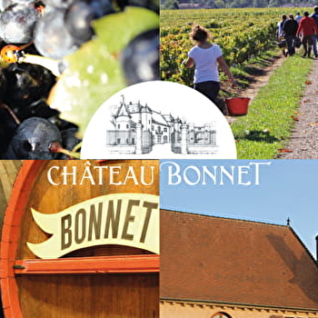 Vins Perrachon Pierre-Yves  - LA CHAPELLE-DE-GUINCHAY