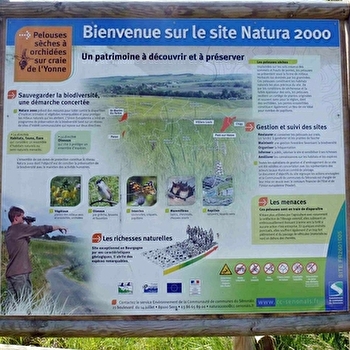 La boucle des Carrelottes - SAINT-MARTIN-DU-TERTRE