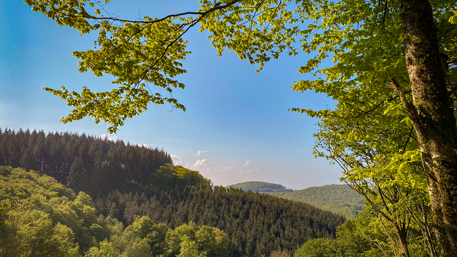 Circuit de randonnée : Nid au vautour