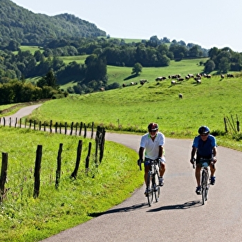 Boucle 15 : Tour de la Petite Montagne - THOIRETTE-COISIA