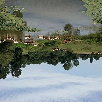 Prairies et bocage de la Bresse bourguignonne - LOUHANS