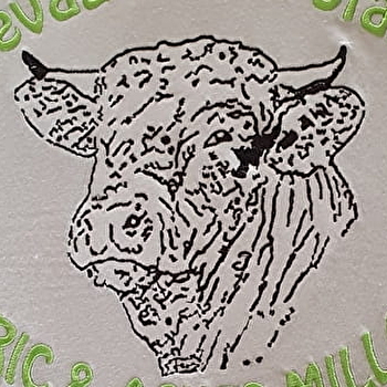 La Charolaise d'Aillevans - AILLEVANS