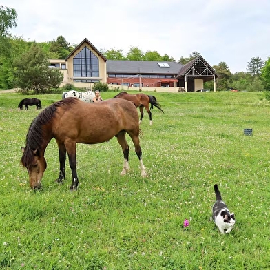 La Terrasse du Colombier
