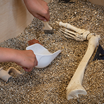 Visite de l'&cclesia et atelier de fouille archéologique - LUXEUIL-LES-BAINS