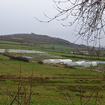 Les Coulisses du Terroir - Les Fermes des Bajais - SAINT-PIERRE-LE-VIEUX
