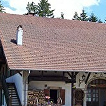 Les Sapins de l'Amitié - METABIEF