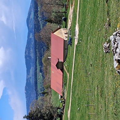 Le Franco-Suisse - n°10