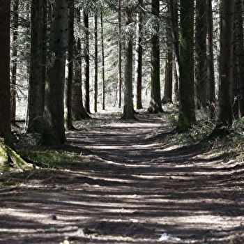 Côte Blanchard - n°24 - THISE