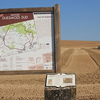 Le Duesmois Sud - JOURS-LES-BAIGNEUX