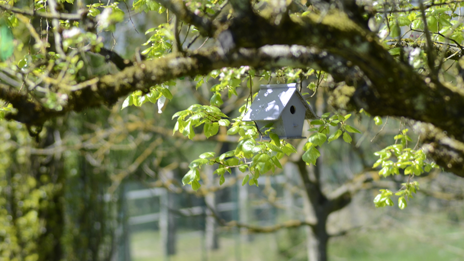 Gîte Hamac et Potager