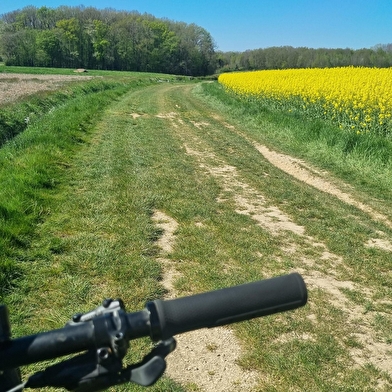 Liaison VTT-VTC (L6) St Trivier de Courtes - Plan d'eau de Mépillat
